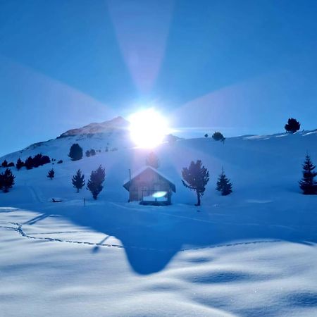 시 Haus Alpenblick 아파트 외부 사진